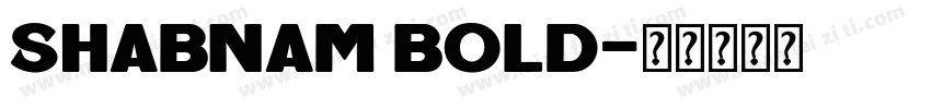 Shabnam Bold字体转换